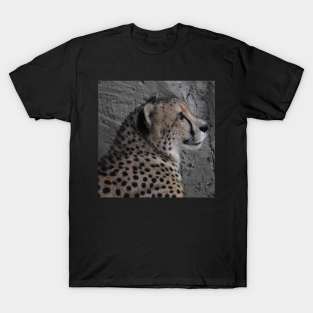 Cheetah T-Shirt